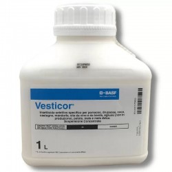 VESTICOR LT. 1