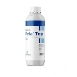 VELA TOP LT.1