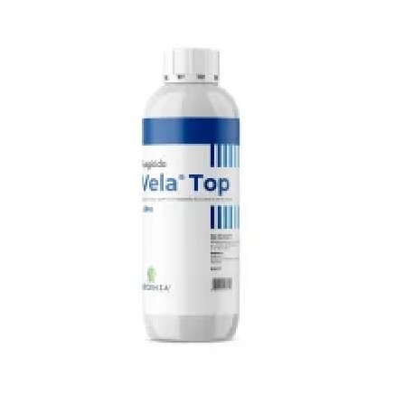 VELA TOP LT.1