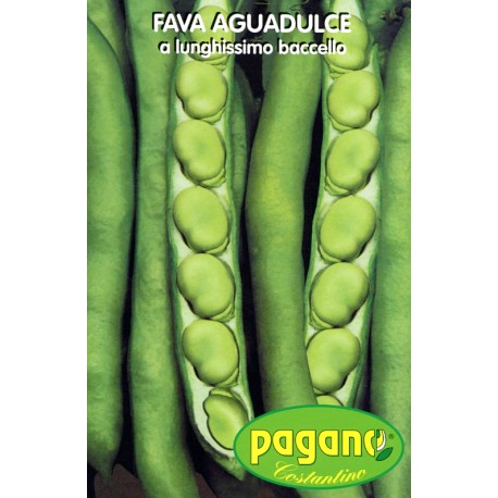 FAVA SUPERAGUADOLCE KG. 25