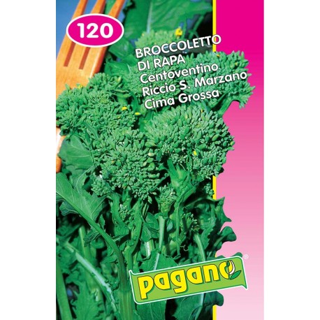 CIMA DI RAPA 120 KG. 5