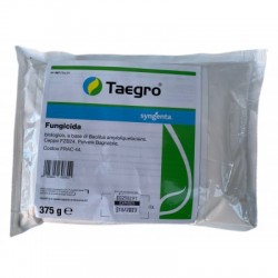 TAEGRO 370 GR.